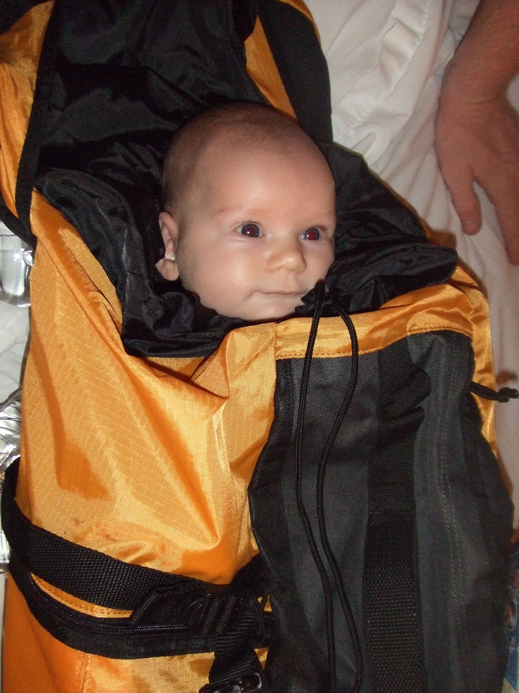 Backpack baby